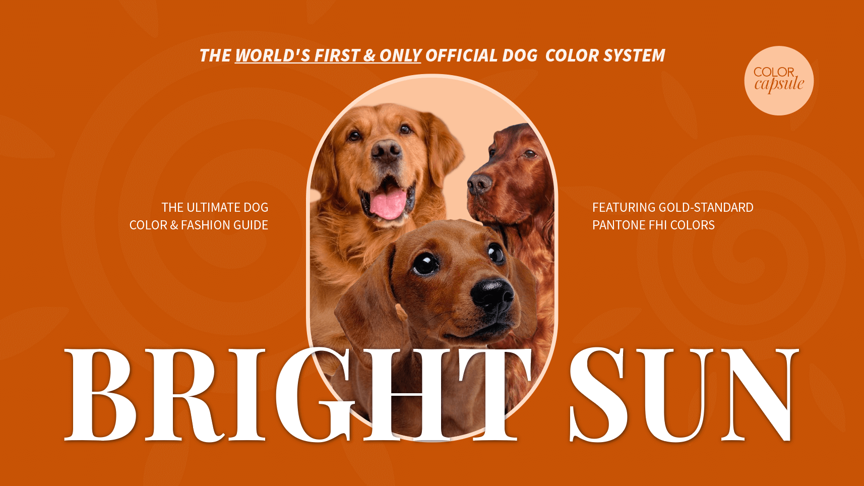 Bright Sun Dog Color Guide